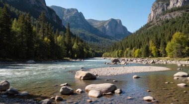 Ormandaki nehrin manzarası