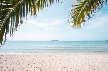 Yazın tropikal beyaz kumsallı palmiye ağaçları ve deniz