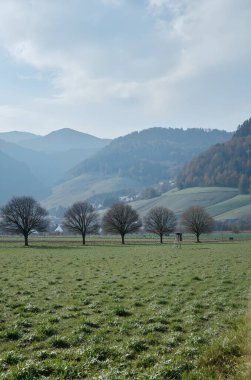 Dağlarda vadinin görünümü