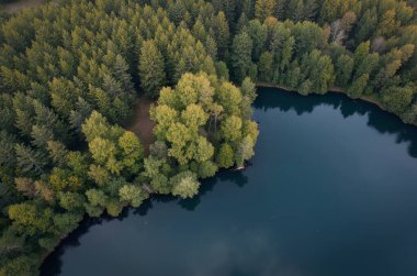 Sonbaharda ormanın ortasında küçük bir gölün drone görüntüsü.