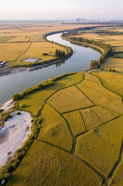 Yazın nehrin havadan görünüşü