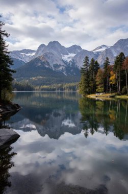 Ormandaki güzel sonbahar gölü