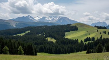 Karpat Dağları 'nın dağ sırasının manzarası. yaz mevsimi.