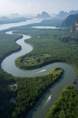 Ağaçlarla çevrili güzel bir göl görüntüsü.