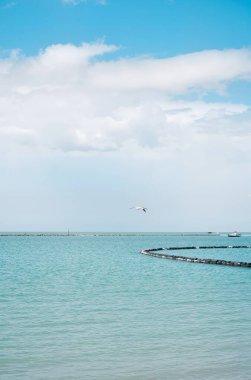 Okyanusta martıları olan güzel bir deniz manzarası..