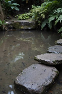 Ormandaki gölün güzel manzarası