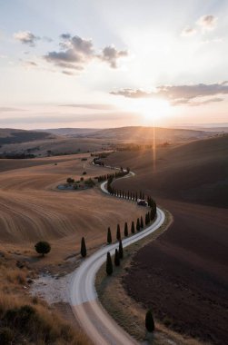 Buğday tarlasından geçen bir yol ve arka planda güzel bir günbatımı.