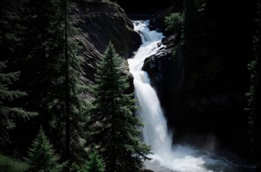 waterfall in the mountains, nature and flora