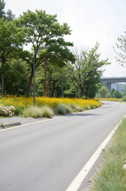 Kırsalda asfalt yol