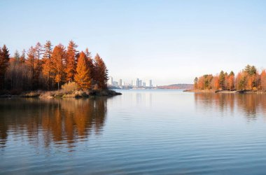 Göl ve ağaçlarla dolu güzel bir manzara