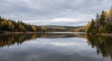 Sonbahar ormanındaki güzel göl