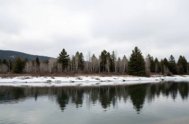 Ormandaki gölün güzel bir görüntüsü.
