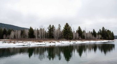 Kışın bulutlu gökyüzünün altında yeşilliklerle çevrili güzel bir göl görüntüsü.