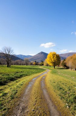 Dağlarda bir yolu olan sonbahar manzarası