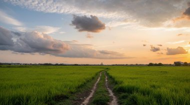 Rengarenk bir günbatımının altında, yemyeşil bir tarlada bulutlarla dolu kirli bir patika.