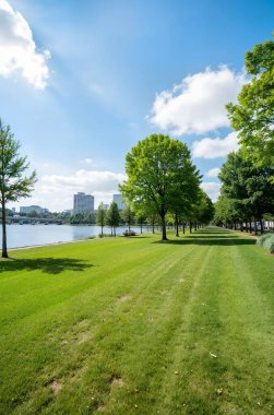 Sahilde yeşillik ve ağaçlarla çevrili bir gölün dikey çekimi.