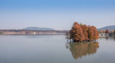 Ormanın ortasında gün ışığında dağlarla çevrili güzel bir göl görüntüsü.