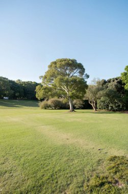 Parkın güzel manzarası