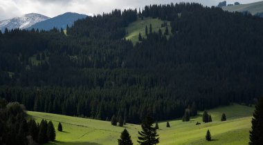 Karpat Dağları 'ndaki güzel dağ manzarası, Ukrayna