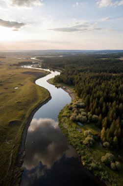 Göl ve ormanın hava aracı görüntüsü.
