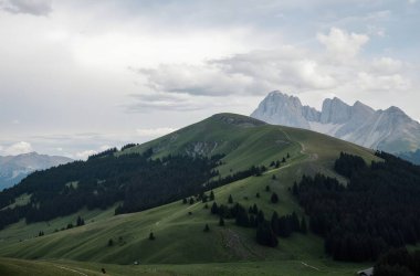Doğanın güzel manzarası