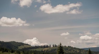 Mavi gökyüzünün altındaki ağaçların ve tepelerin güzel bir görüntüsü.