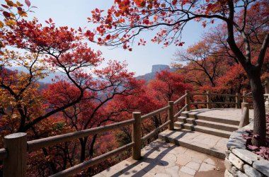 Kırmızı ve beyaz yapraklı güzel sonbahar manzarası