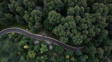 Ormandaki yol, üst manzara.