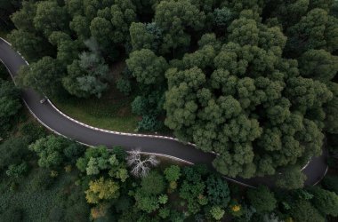 Akşamları yol, orman, yol ve ormanın havadan görünüşü