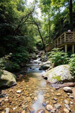 Doğal manzaranın güzel manzarası