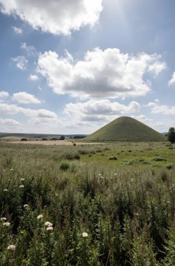 Arka planda mavi gökyüzü olan yeşil tepelerin güzel bir görüntüsü