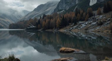 Suyun altında, bulutlu bir gökyüzünün altında ağaçlarla çevrili bir göl.