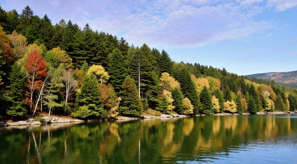 Renkli ağaçlarla dolu güzel sonbahar manzarası