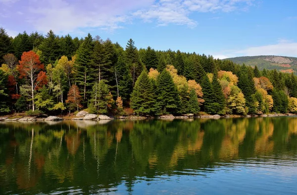 Ormanda gölü olan sonbahar manzarası