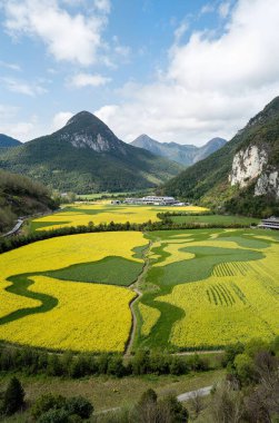 İsrail 'in kuzeyindeki Akdeniz Vadisi' nin havadan görünüşü.