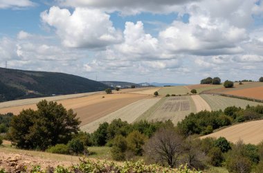 Buğday tarlası ve mavi gökyüzü olan güzel bir manzara.