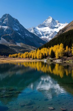 Arka planda bir göl olan sonbahar manzarası