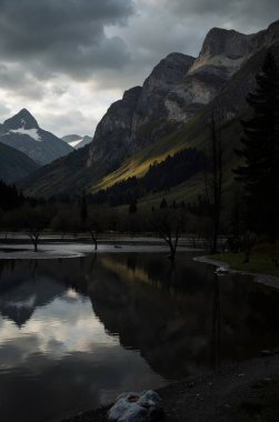 Ormanın ortasında bulutlu bir gökyüzünün altında bir dağın olduğu bir gölün dikey görüntüsü.