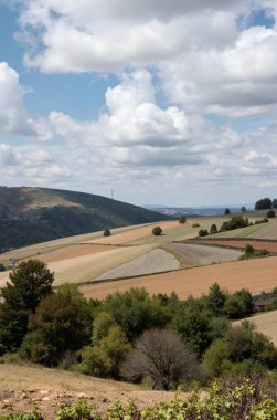 İspanya 'nın tarlalarının ve tepelerinin manzarası