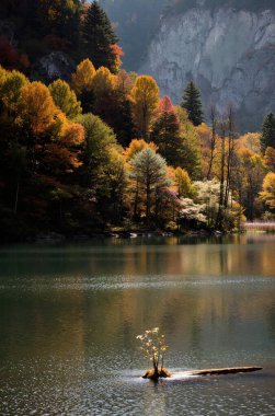 Dağlardaki gölün güzel manzarası