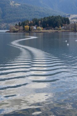 Güzel göl manzarası