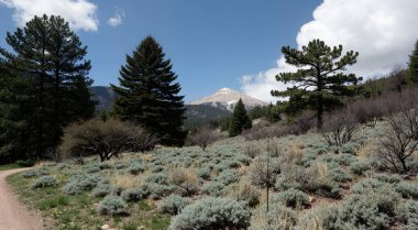 Dağların güzel manzarası