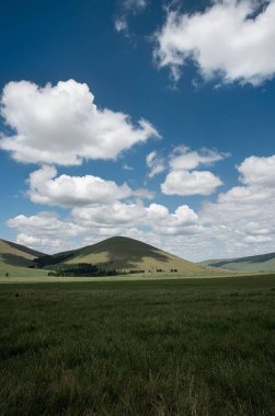Buğday tarlası olan güzel bir manzara.