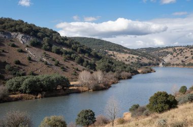 Parktaki nehrin güzel manzarası