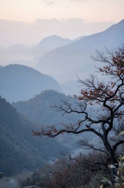 Bir dağ sırası ve bir ağacı olan güzel bir manzara.
