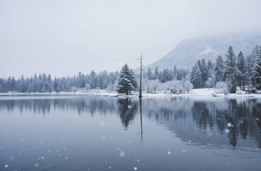 Göl ve ağaçlarla dolu güzel bir manzara