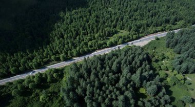 Ormandaki yolun havadan görünüşü