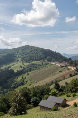Yeşil çimenli ve ağaçlı manzara