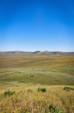 Arkasında bir dağ olan güzel bir manzara.