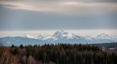 Kışın Tatra Dağları. tatras, slovakya